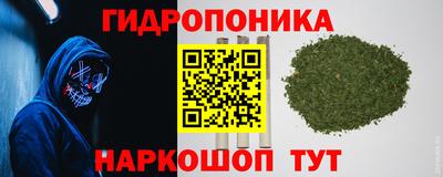 PSILOCYBIN Славянск-на-Кубани
