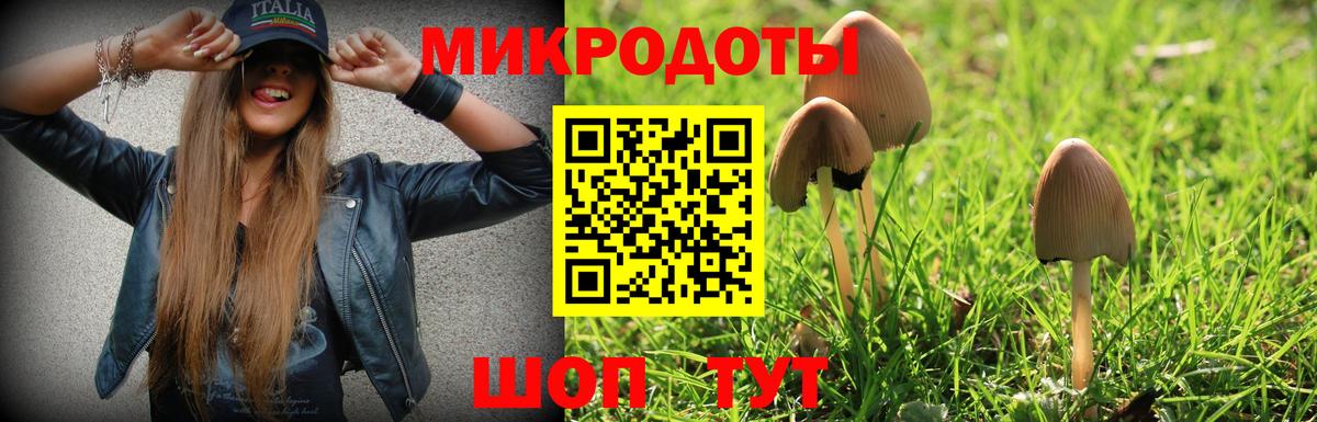 Галлюциногенные грибы Psilocybe Астрахань